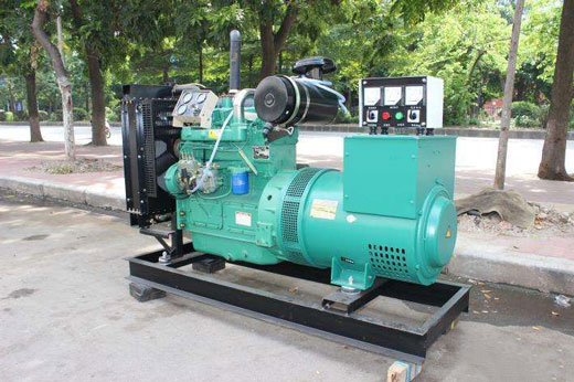 沔城回族镇发电机不发电的原因